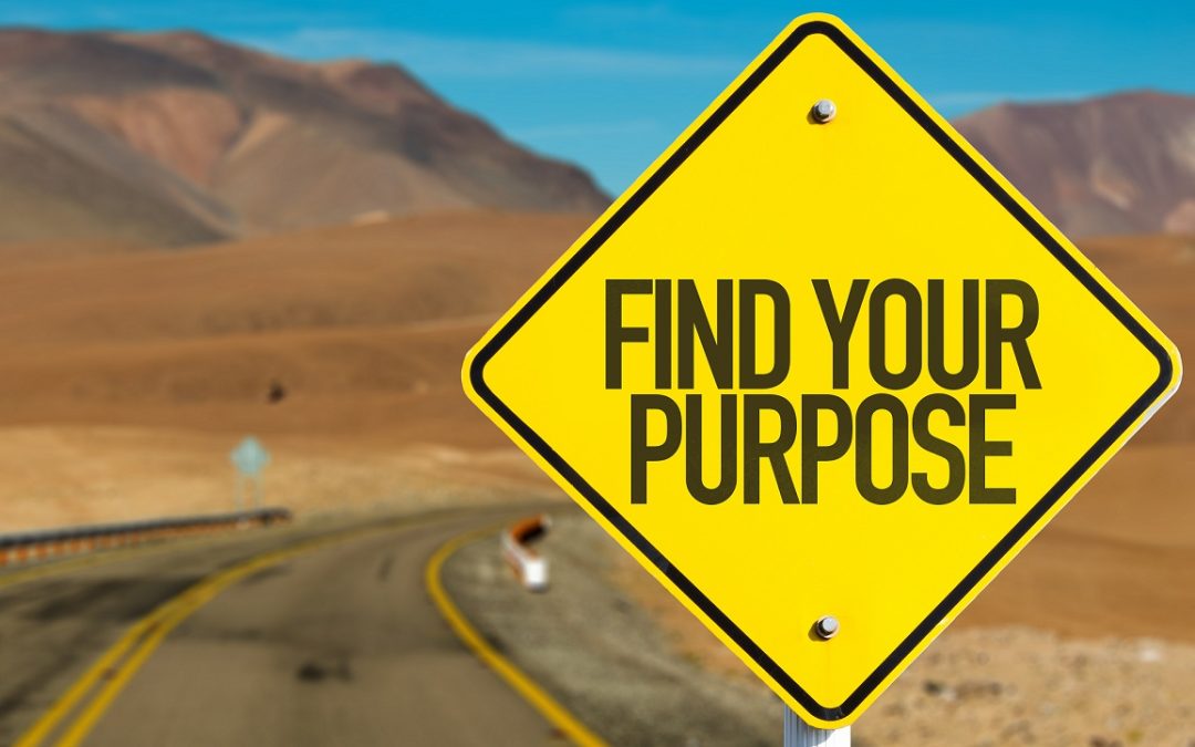 finding purpose